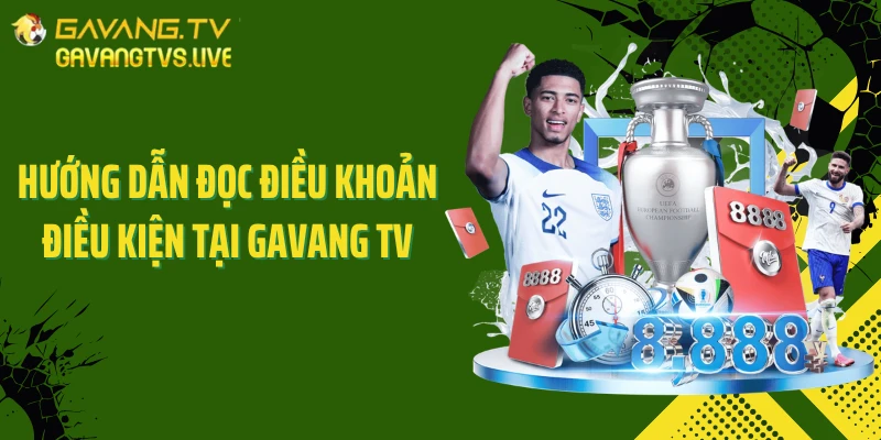 Hướng dẫn đọc điều khoản điều kiện tại GAVANG TV